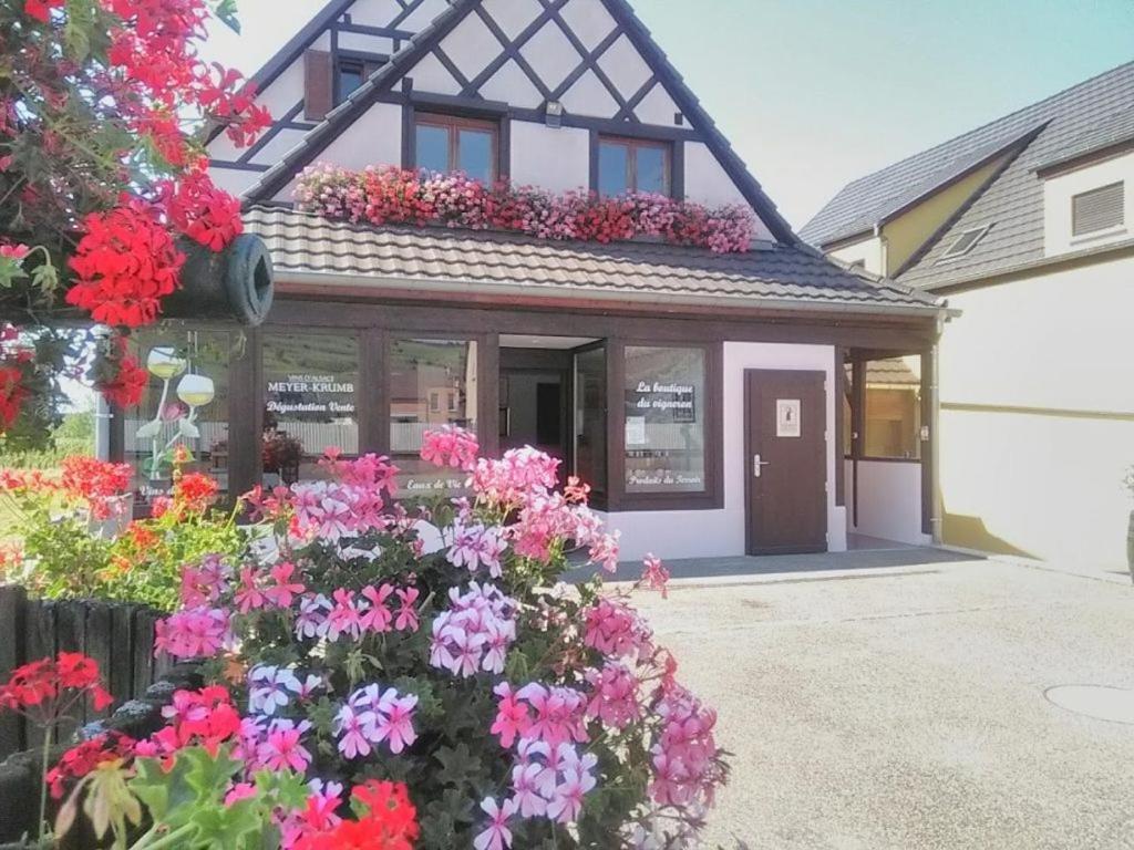 Alsace Appartements Meyer-Krumb Sigolsheim Exterior foto